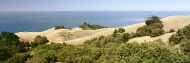 Pacific Ocean and Hills, Golden Gate National Seashore, California, USA