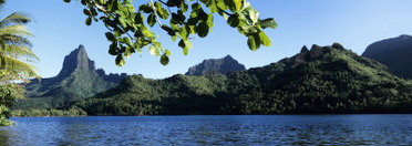 Mountain Range Along the Ocean, Opunohu Bay, Moorea, French Polynesia