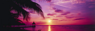 Sunset, Palm Trees, Beach, Water, Ocean, Montego Bay Jamaica