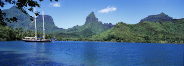 Sailboats Sailing in the Ocean, Opunohu Bay, Moorea, French Polynesia