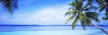 Ocean, Island, Water, Palm Trees, Maldives