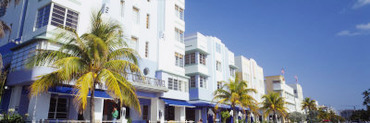 Palm Trees in Front of Buildings, Art Deco Hotels, Ocean Drive, Miami Beach, Florida, USA