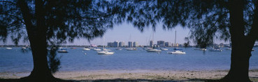 Boats in an Ocean, Sarasota, Florida, USA