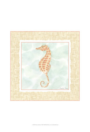 Ocean Seahorse