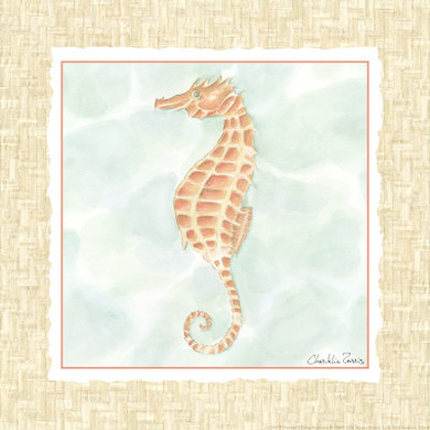 Ocean Seahorse