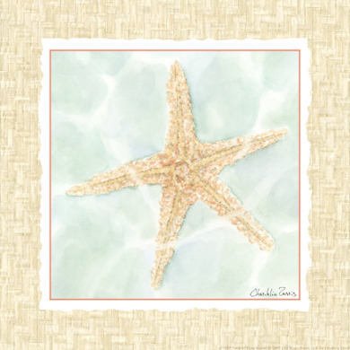 Ocean Starfish