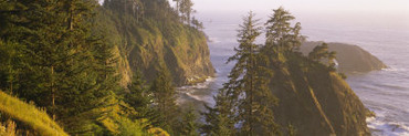 Trees on Rocks, Pacific Ocean, Boardman State Park, Oregon, USA