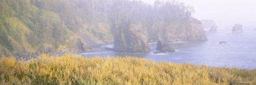 Rock Formations in the Ocean, Pacific Ocean, Boardman State Park, Oregon, USA