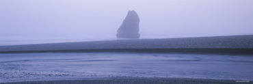 Rock Formations in the Ocean, Pacific Ocean, Boardman State Park, Oregon, USA