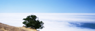 Fog over an Ocean, Pacific Ocean, Marin County, California, USA