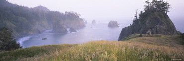 Rock Formations in the Ocean, Pacific Ocean, Boardman State Park, Oregon, USA