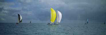 Sailboat Racing in the Ocean, Key West, Florida, USA