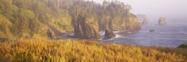 Rock Formations in the Ocean, Pacific Ocean, Boardman State Park, Oregon, USA