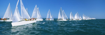 Sailboat Racing in the Ocean, Key West, Florida, USA