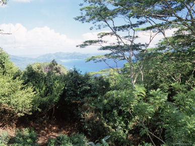 Les Hauts De Grand Anse, West Coast, Island of Mahe, Seychelles, Indian Ocean, Africa