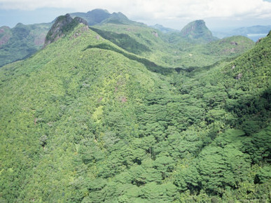 Aerial View of Morne Seychellois, Northern Region, Island of Mahe, Seychelles, Indian Ocean, Africa