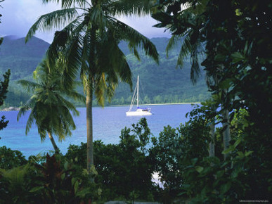 Ile Therese, North West Coast, Island of Mahe, Seychelles, Indian Ocean, Africa