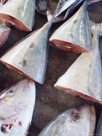 Fish for Sale, Saturday Market, Victoria, Island of Mahe, Seychelles, Indian Ocean, Africa