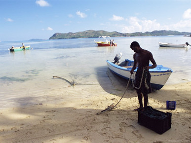 Beach, Grand Anse, South Coast, Island of Praslin, Seychelles, Indian Ocean, Africa