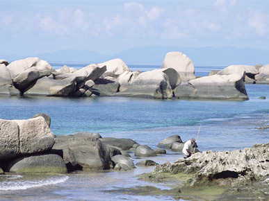 Rocks on Coast, Anse Takamaka, South Coast, Island of Praslin, Seychelles, Indian Ocean, Africa