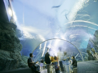 Ocean World, Siam Paragon Shopping Mall, Bangkok, Thailand, Southeast Asia