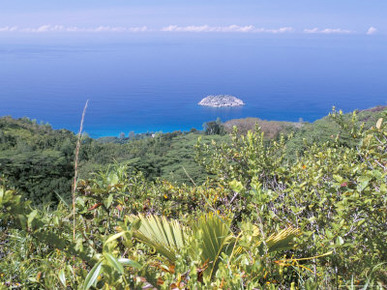 Les Hauts De Grand Anse, West Coast, Island of Mahe, Seychelles, Indian Ocean, Africa