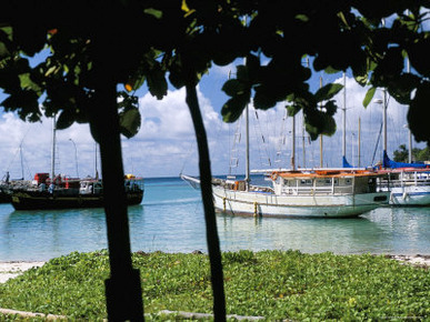 Jetty, West Coast, Island of La Digue, Seychelles, Indian Ocean, Africa