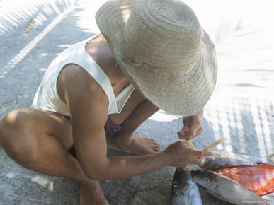 Fisherman and His Catch, Northeast Coast, Island of Praslin, Seychelles, Indian Ocean, Africa