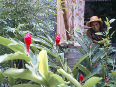 Traditional Creole House, Island of Mahe, Seychelles, Indian Ocean, Africa