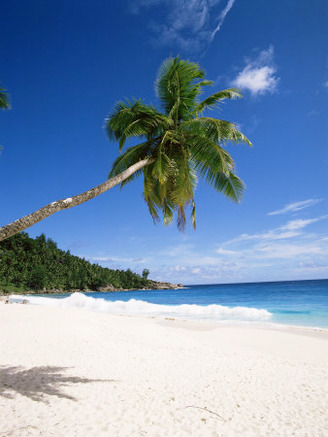 Anse Intedance, Island of Mahe, Seychelles, Indian Ocean, Africa