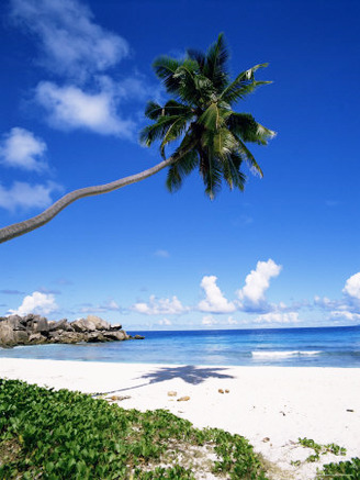 Grand Anse, La Digue Island, Seychelles, Indian Ocean, Africa