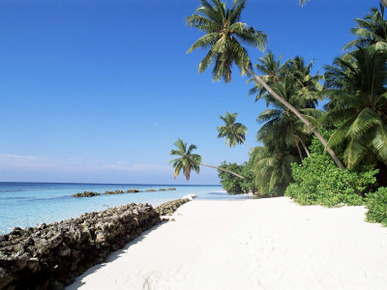 Nakatchafushi, Maldives, Indian Ocean