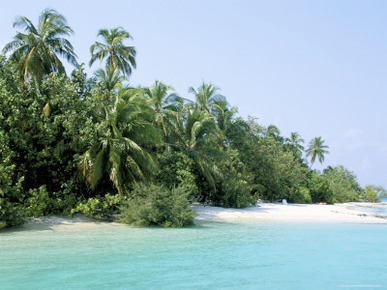 Asdu Island, North Male Atoll, Maldives, Indian Ocean