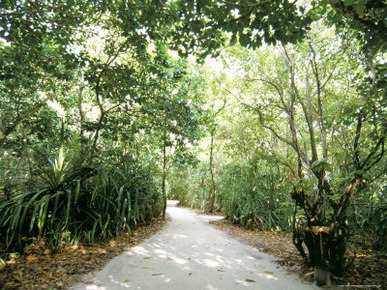 Soneva Fushi Resort, Kunfunadhoo Island, Baa Atoll, Maldives, Indian Ocean