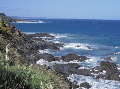 Landscape of Rugged Rocky Coastline Along the Great Ocean Road, Victoria, Australia