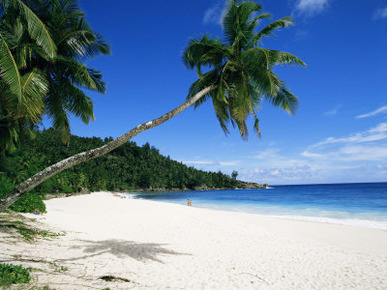 Anse Interdance, Mahe Island, Seychelles, Indian Ocean, Africa