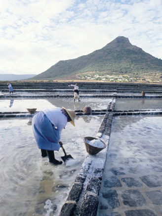 Salt Workers, Mauritius, Indian Ocean, Africa