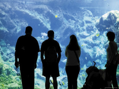 Oceanopolis Aquarium and Sea Life Centre, Brest, Finistere, Brittany, France