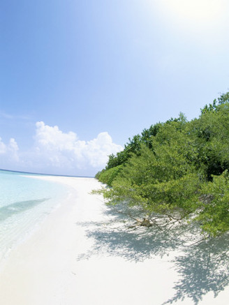 Mendu Island, Baa Atoll, Maldives, Indian Ocean