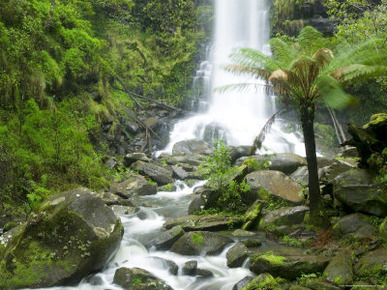 Erskine Fall, Angahook National Forest, Great Ocean Road, Victoria, Australia