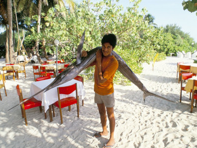 Boy Carrying Freshly Caught Swordfish, Embudu, the Maldives, Indian Ocean