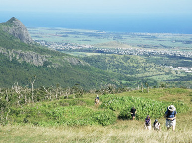 City from Le Pouce Peak, Port Louis, Mauritius, Indian Ocean, Africa