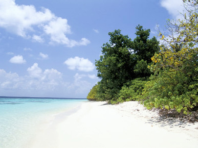 Mendu Island, Baa Atoll, Maldives, Indian Ocean