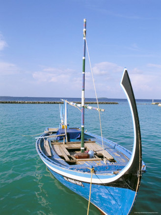 Dhoni, Baa Atoll, Maldives, Indian Ocean