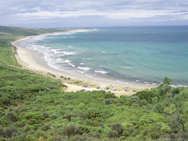 Coast of the Angahook-Lorne State Park, West of Anglesea, on Great Ocean Road, Victoria, Australia