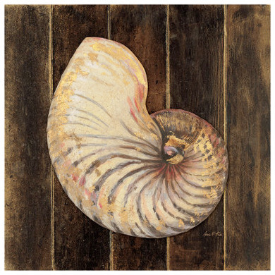 Ocean Nautilus